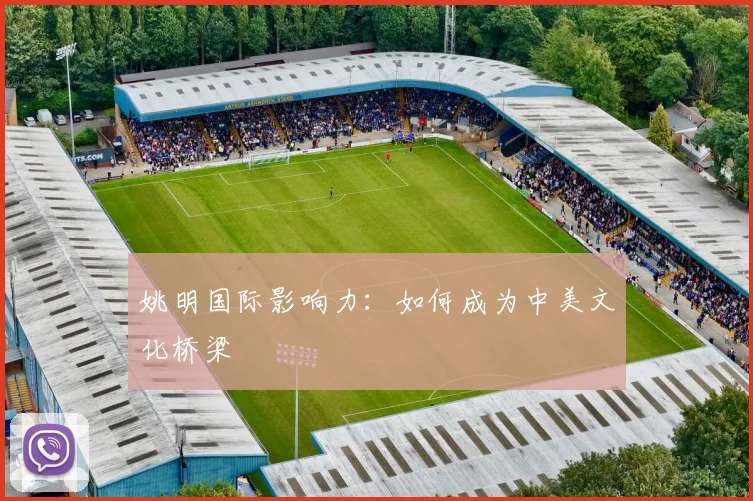 姚明国际影响力：如何成为中美文化桥梁
